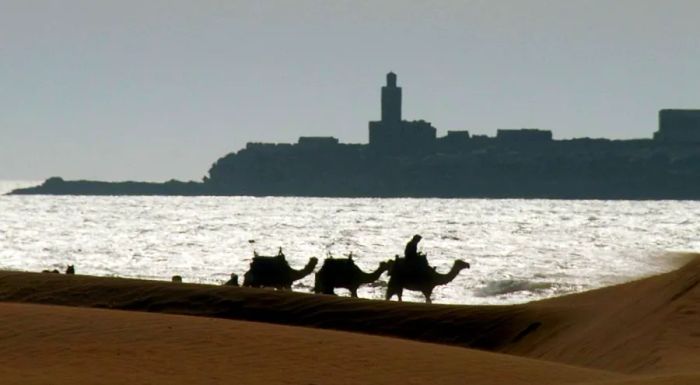 Essaouira’s charm is especially captivating as the sun sets, casting a warm glow over the city and its historic walls.