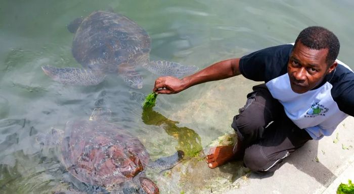 The best of Zanzibar, Zanzi-style.