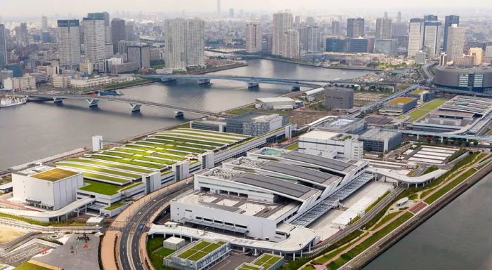 A bird's-eye view of Tokyo's new Toyosu fish market.