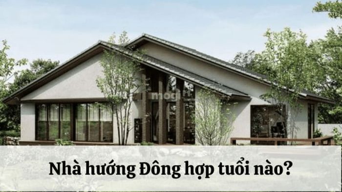 Nhà Hướng Đông Phù Hợp Với Tuổi Nào Để Mang Lại Tài Lộc Cho Gia Chủ?