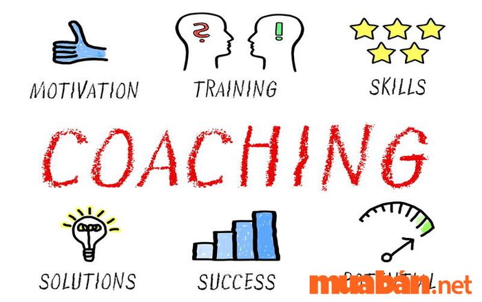 Những nguyên tắc cơ bản cần ghi nhớ về Coaching là gì?
