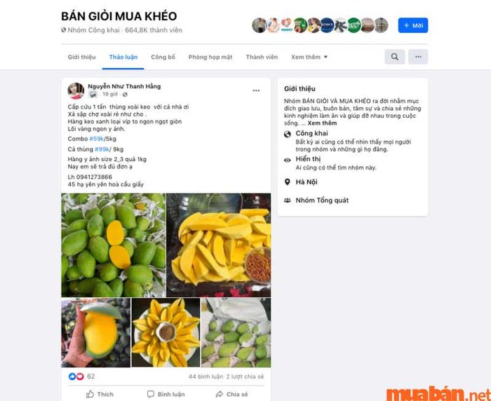 Bài đăng bán hàng hiệu quả nên đi kèm với hình ảnh thu hút sự chú ý