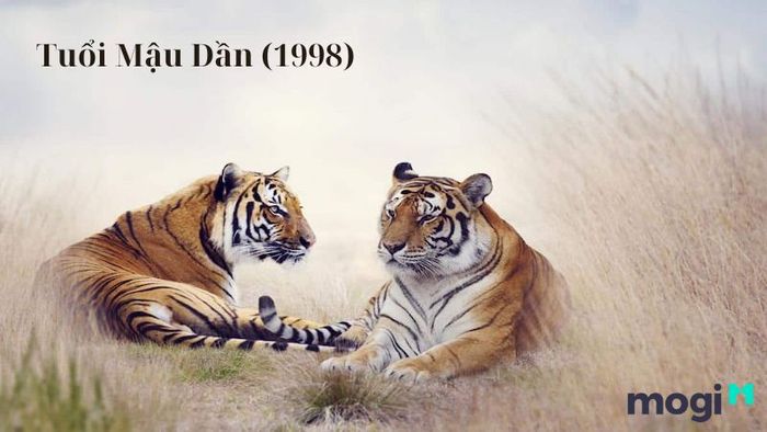 Khám phá ngay những ngày đẹp khai trương cho tuổi Mậu Dần (1998)