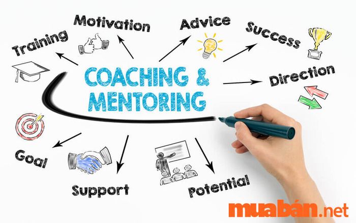 Sự khác biệt giữa Coaching và Mentoring