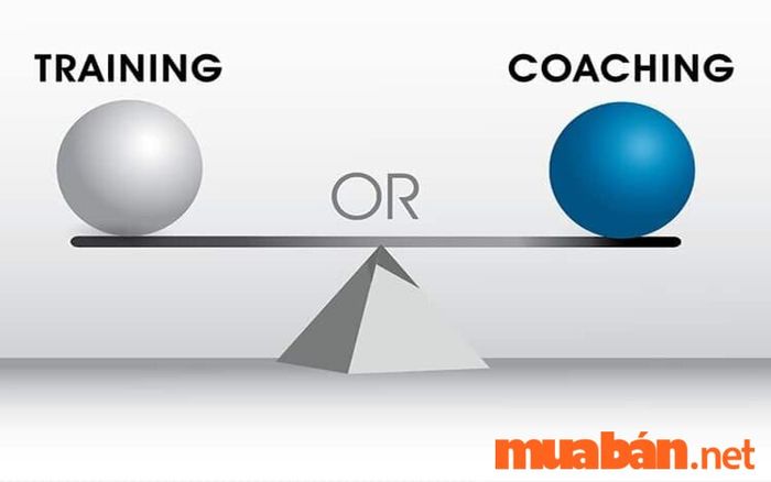 So sánh sự khác biệt giữa Coaching và Training