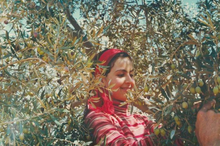 A young Juana Martini, pictured on one of her family’s olive farms.