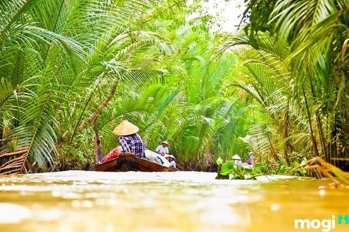 Vì Cồn Sơn là cù lao nằm giữa dòng sông, nên việc di chuyển đến Cồn Sơn Cần Thơ khá đơn giản.