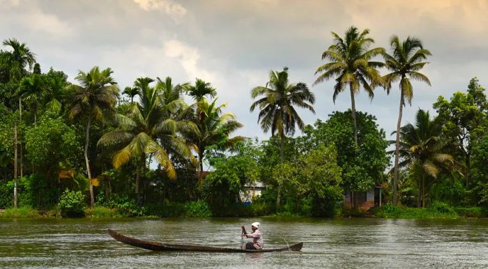 The tranquil backwaters of Kerala offer the perfect setting to relax and unwind aboard a houseboat.