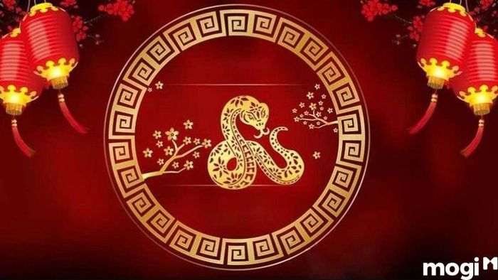 Khái quát về gia chủ tuổi Kỷ Tỵ 1989