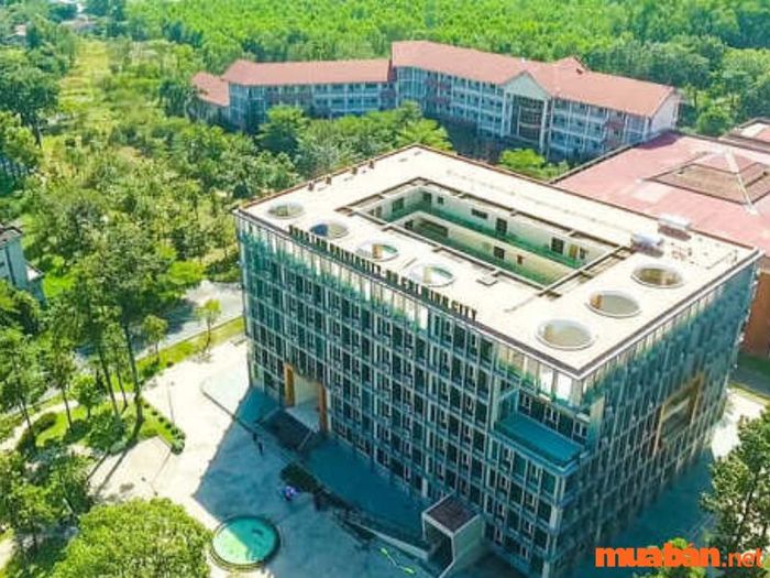 Ngành công nghệ sinh học nên học ở trường nào?