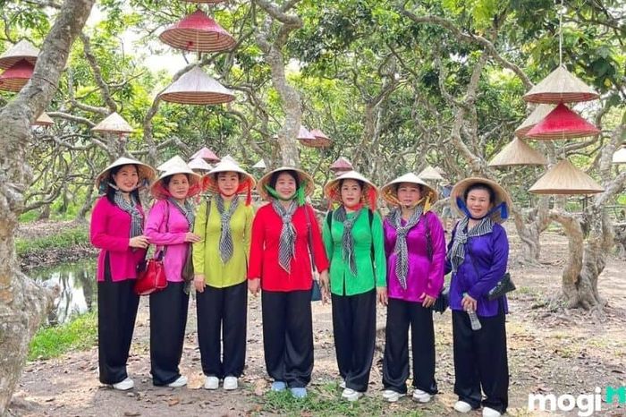 Mỗi mùa ở Cồn Sơn Cần Thơ đều mang đến những trải nghiệm đặc biệt riêng biệt.