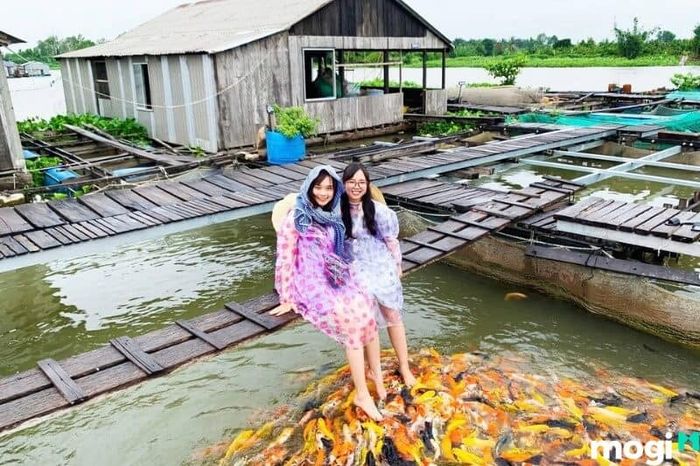 Khám Phá Bè Cá Chú Bảy Bon