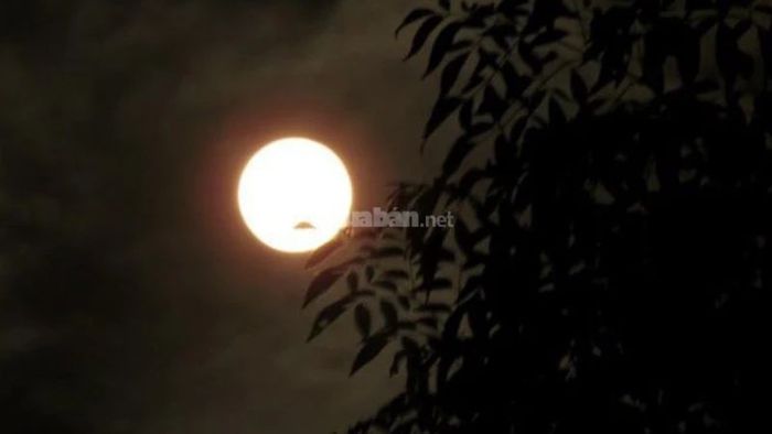 Không nên cắt tóc vào mùng 1 và ngày rằm