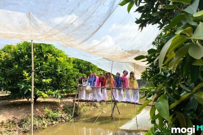 Để có thể khám phá và tận hưởng trọn vẹn những điều thú vị tại Cồn Sơn Cần Thơ, bạn nên dành trọn một ngày để tham quan và trải nghiệm.