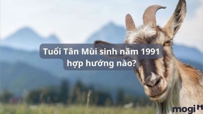 Hướng nhà phù hợp với tuổi Tân Mùi 1991