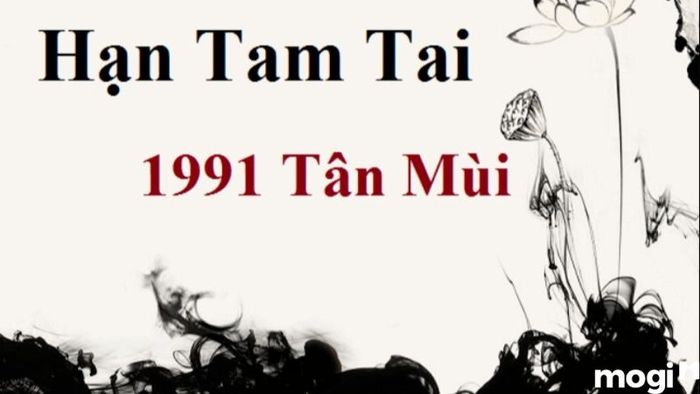 Liệu tuổi Tân Mùi 2024 có gặp hạn Tam Tai không?
