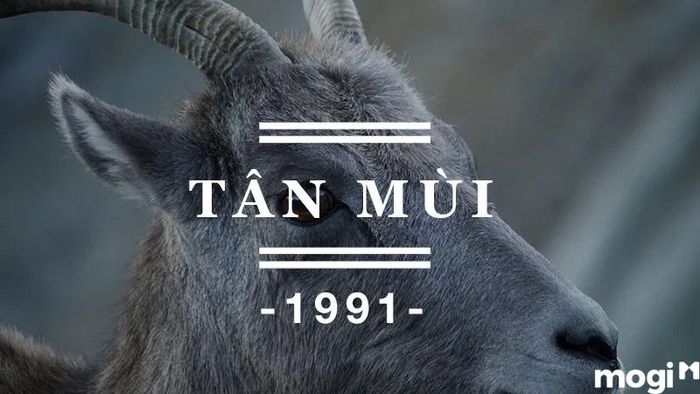 Tổng Quan Về Gia Chủ Tuổi Tân Mùi 1991