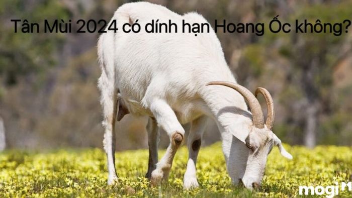 Tân Mùi 2024 liệu có gặp hạn Hoang Ốc không?