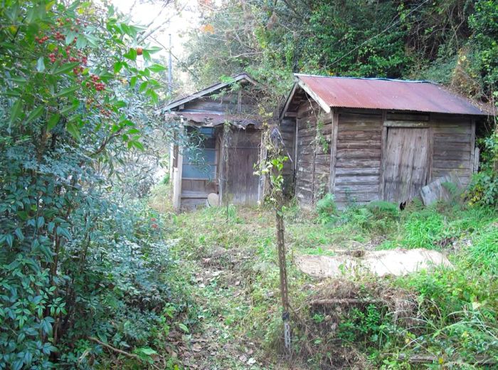 Japan’s countryside is filled with abandoned homes, known as 'akiya.' Kajiyama successfully persuaded the owners of one such property to let them take it over.