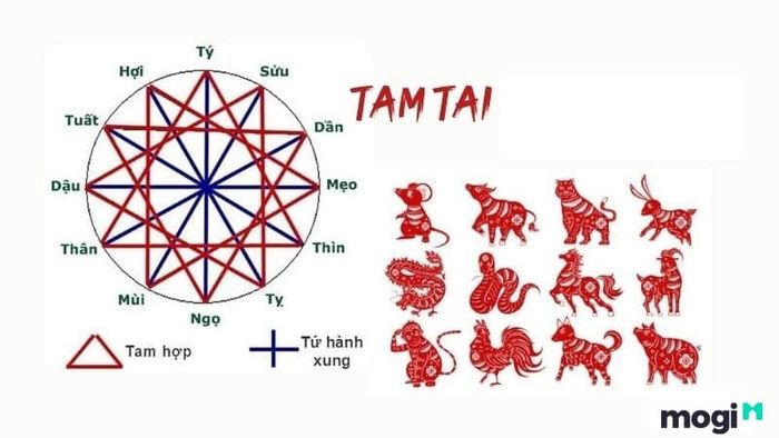 Tuổi Tân Hợi năm 2024 có dính hạn Tam Tai không?