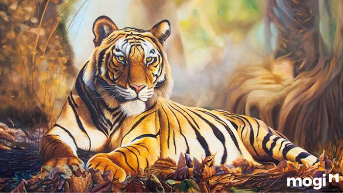 Tử vi tuổi Dần quý 4 năm 2024