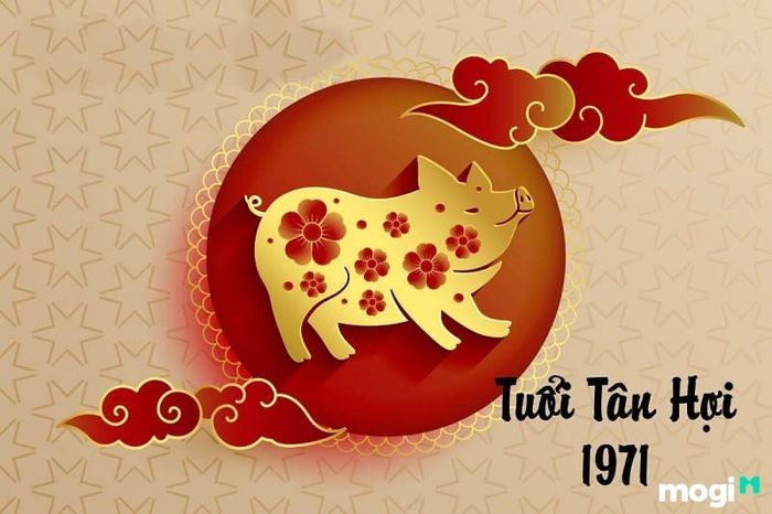 Thông tin tổng quan về người tuổi Tân Hợi sinh năm 1971
