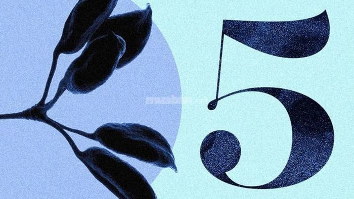 Ảnh hưởng của năm 2024 đến năm cá nhân số 5 – Nguồn: Internet