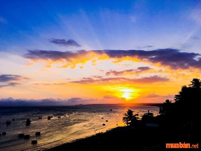 Quảng Ngãi có những điểm đến thú vị nào?