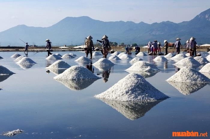 Quảng Ngãi có những điểm tham quan thú vị nào?