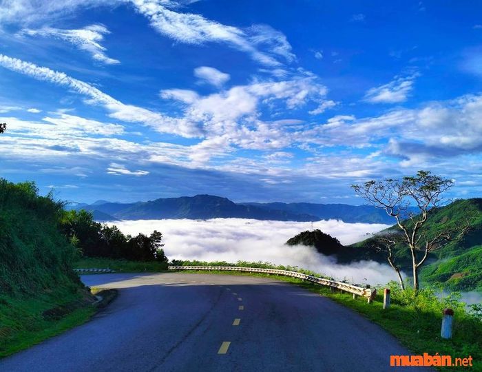 Quảng Ngãi có những điểm du lịch nào thú vị?