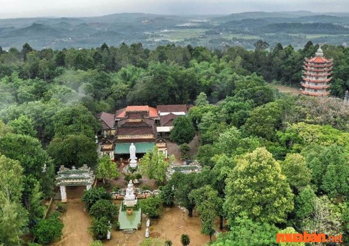 Quảng Ngãi có những điểm đến thú vị nào?