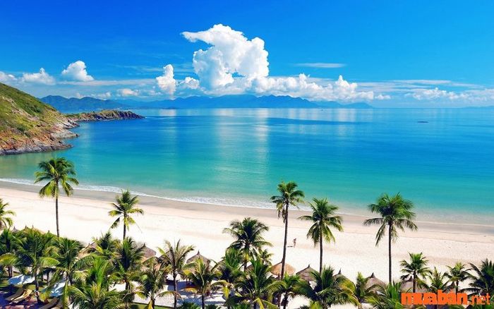Quảng Ngãi có những điểm du lịch thú vị nào?