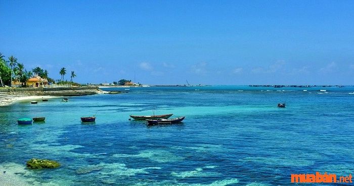 Quảng Ngãi có những điểm du lịch nào thú vị?