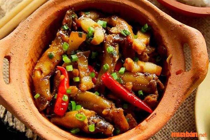 Quảng Ngãi có gì thú vị để khám phá