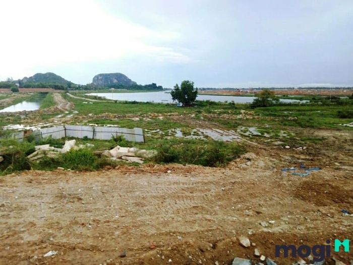 Thị trường đất nền Hòa Quý đang có nhiều thay đổi đáng kể, đòi hỏi sự linh hoạt trong giao dịch