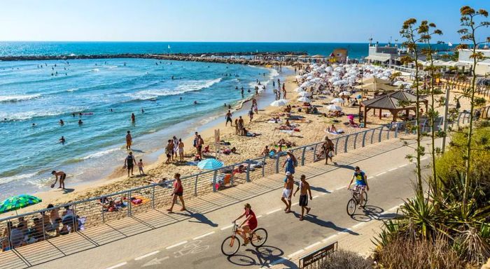 In Tel Aviv, beach culture and bike culture blend seamlessly. The city's Hilton Beach is a prime spot for both surfing and cycling.