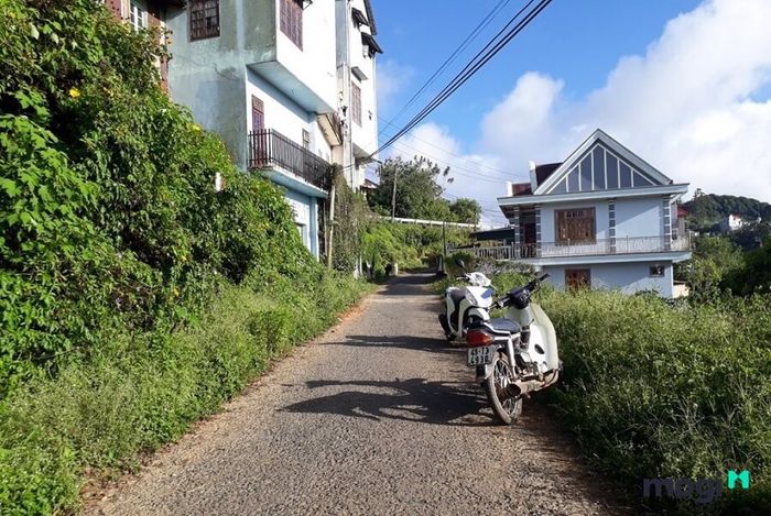 Trước khi quyết định giao dịch, bạn cần phải kiểm tra thật kỹ xem sổ đỏ mà chủ đất cung cấp có thật hay không để tránh rơi vào bẫy lừa đảo.