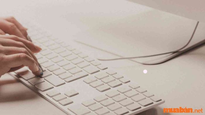 Học sinh cấp 3 hoàn toàn có thể thử sức với công việc cộng tác viên viết bài online để kiếm thêm thu nhập.