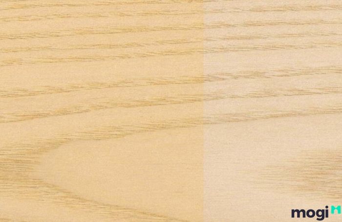 Tần bì European ash