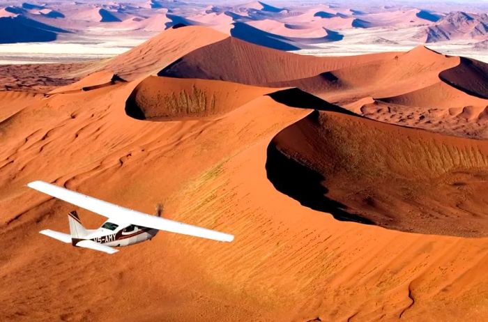 The Namib Desert: Wild and haunting.