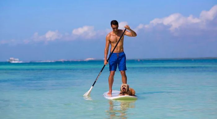 NIZUC welcomes both dogs and cats weighing up to 4.5 kilos, and for adventurous pups, there's even the chance to go paddleboarding.