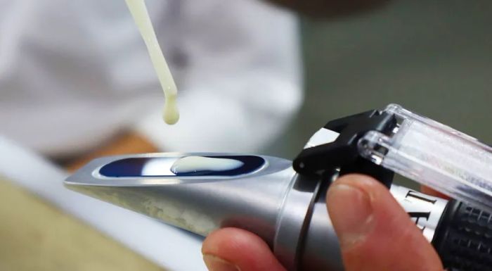 In modern tofu-making, a reflector is used to monitor the thickness of the soy milk.