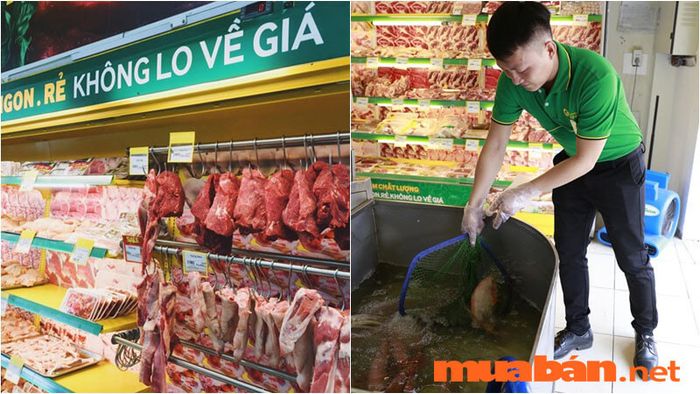 Cảnh giác với chiêu trò lừa đảo tuyển dụng siêu thị giả mạo