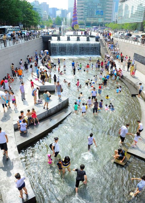 Seoul’s Cheonggyecheon Stream has been transformed into a lush urban sanctuary.