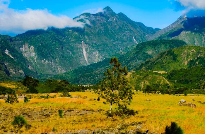 Baru Volcano National Park in Chiriqui province is a breathtaking natural wonder in Panama.