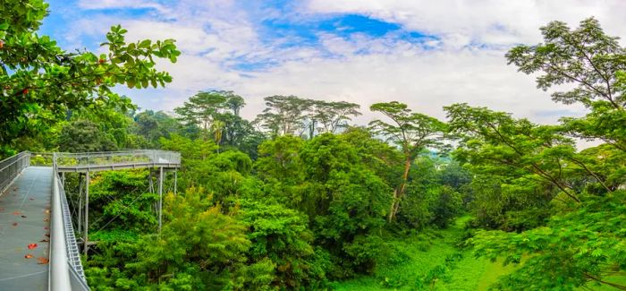 Singapore's lush green spaces, with scenic views like those over Kent Ridge Park, provide a peaceful retreat from the city's hustle and bustle.