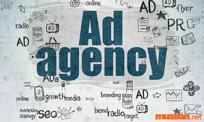 Khám phá cách chinh phục nhiều đối tượng khách hàng khi làm việc tại Agency quảng cáo