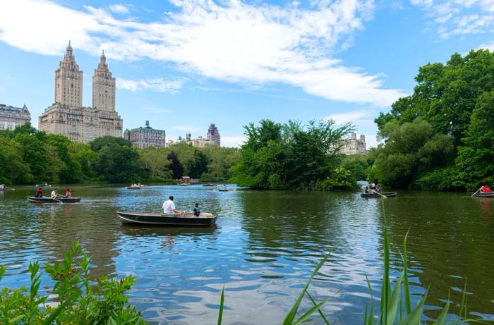 New York’s Central Park remains a tranquil retreat in the heart of the city, and with the return of travelers, new hotels are opening their doors.