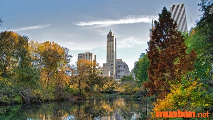 Central Park