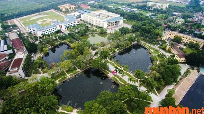 Ngành công nghệ thực phẩm nên học ở đâu?